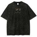 Expedition 33 Unisex Fit Washed T-Shirt 'TTT'