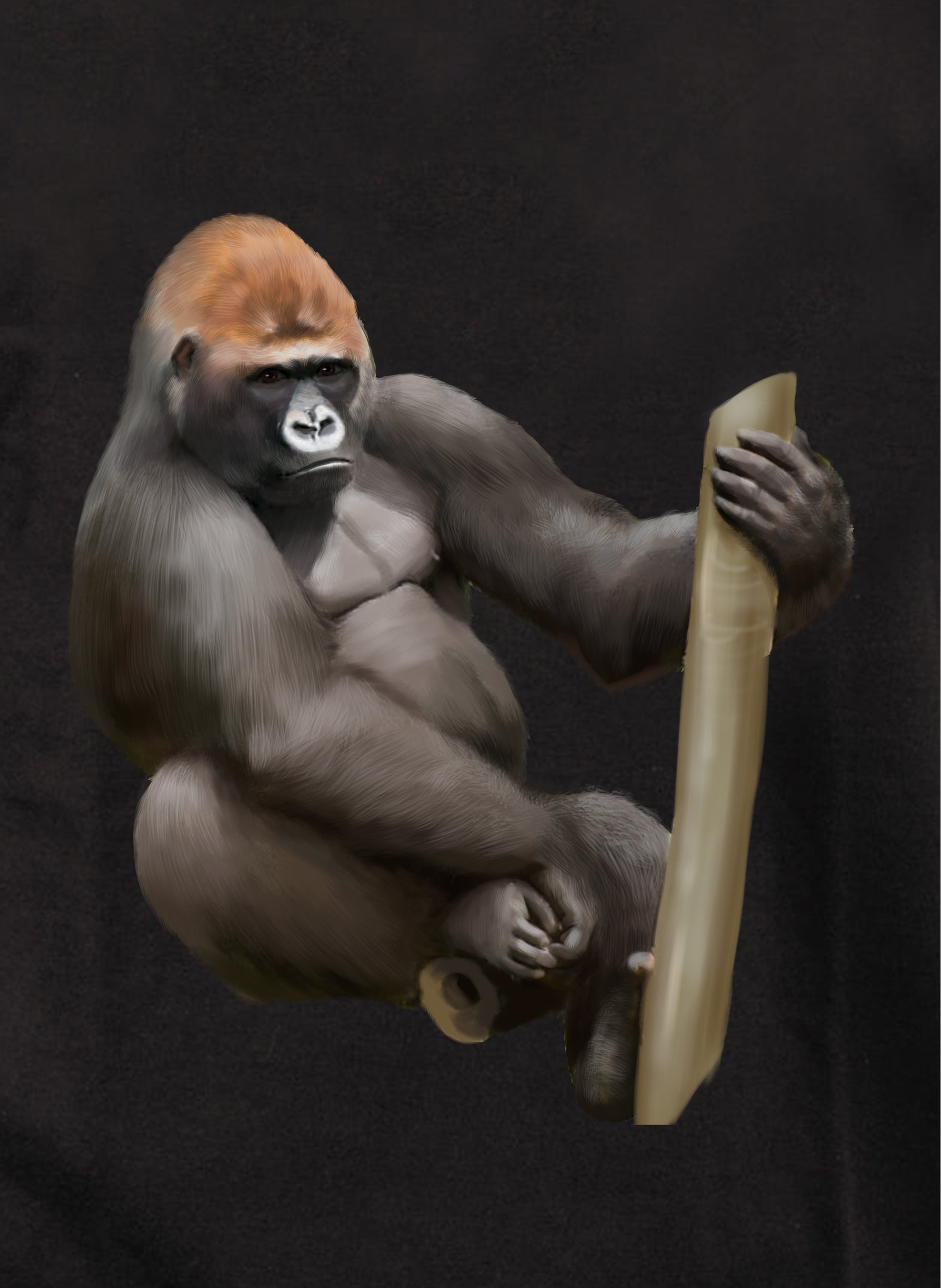 Gorilla Kids T-Shirt