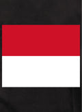 Monaco Flag Kids T-Shirt