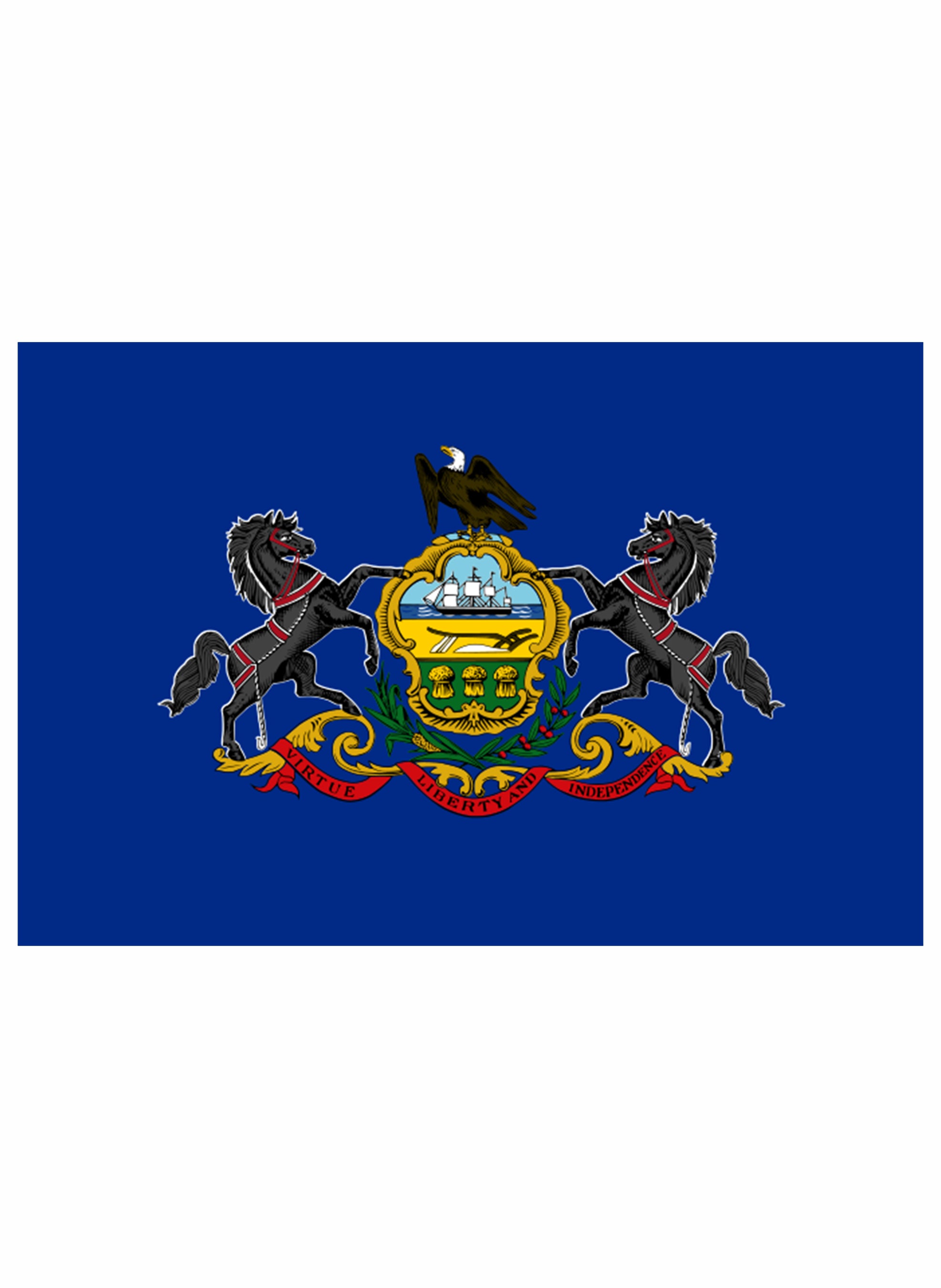 Pennsylvania State Flag Kids T-Shirt
