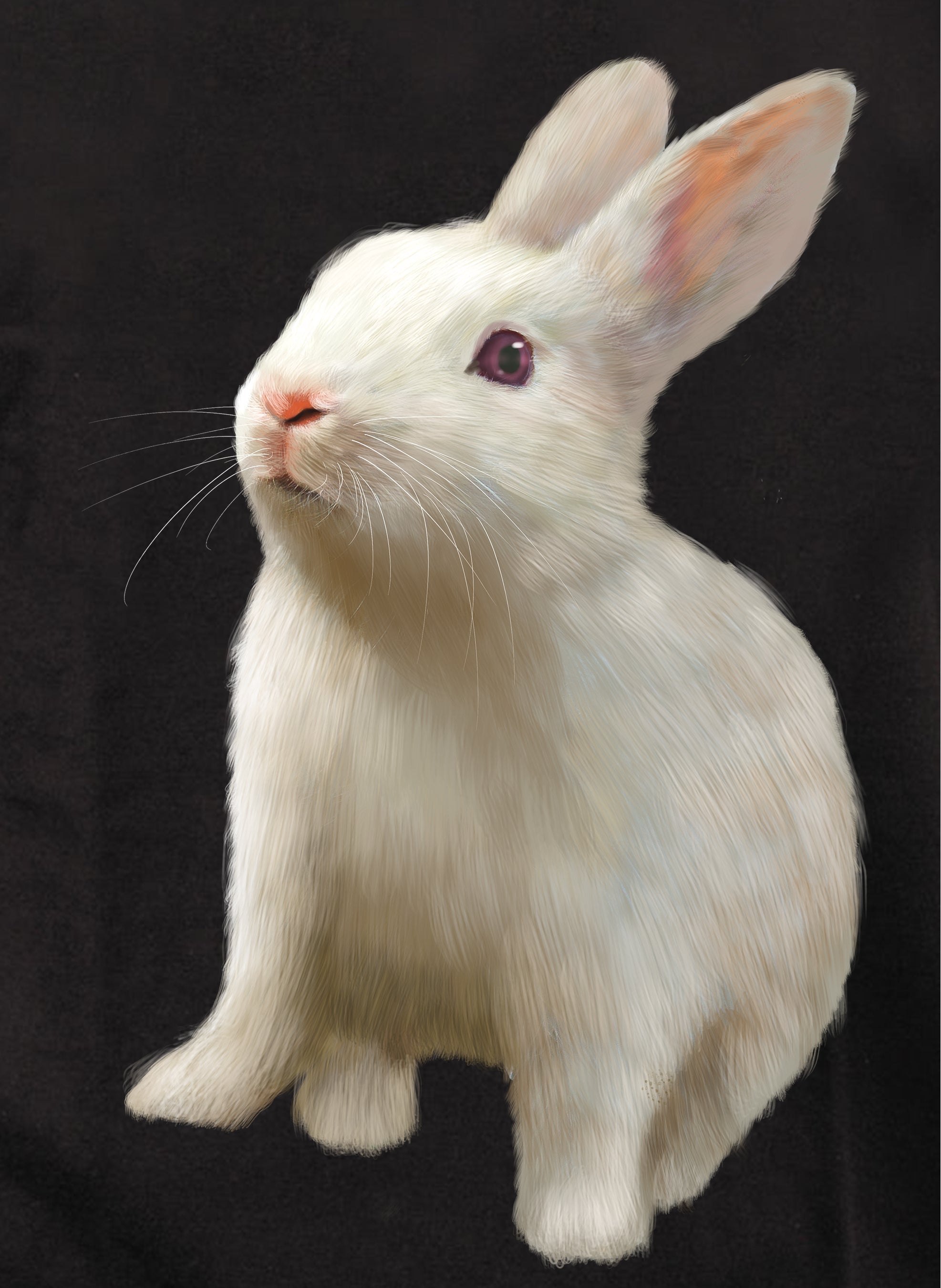 White Rabbit Kids T-Shirt