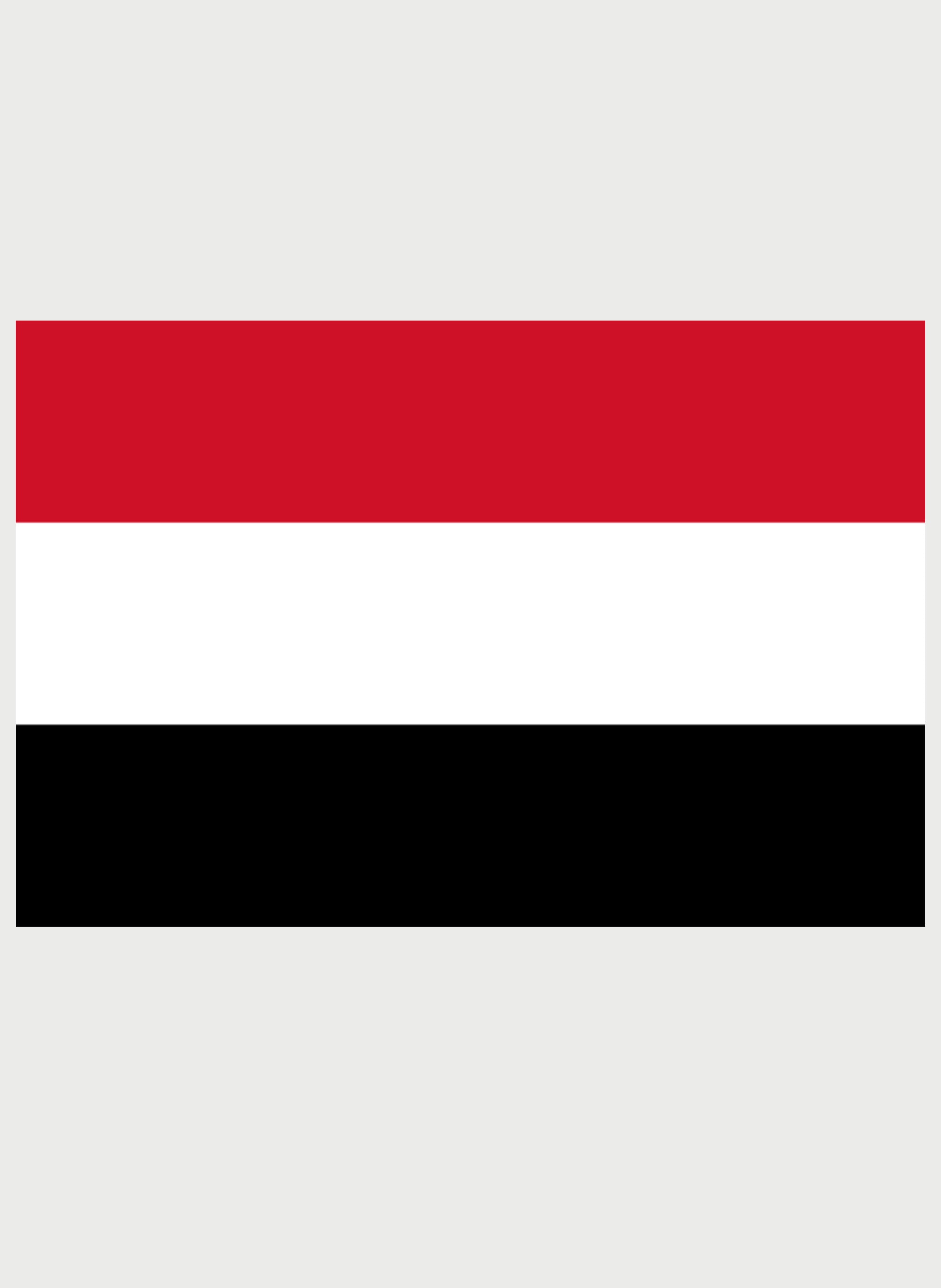 Yemeni Flag T-Shirt