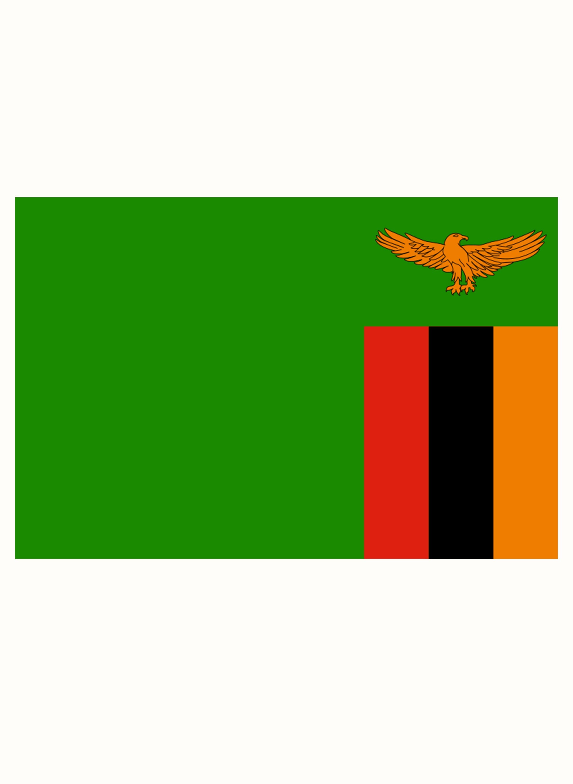 Zambian Flag T-Shirt